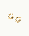 Rose Earrings