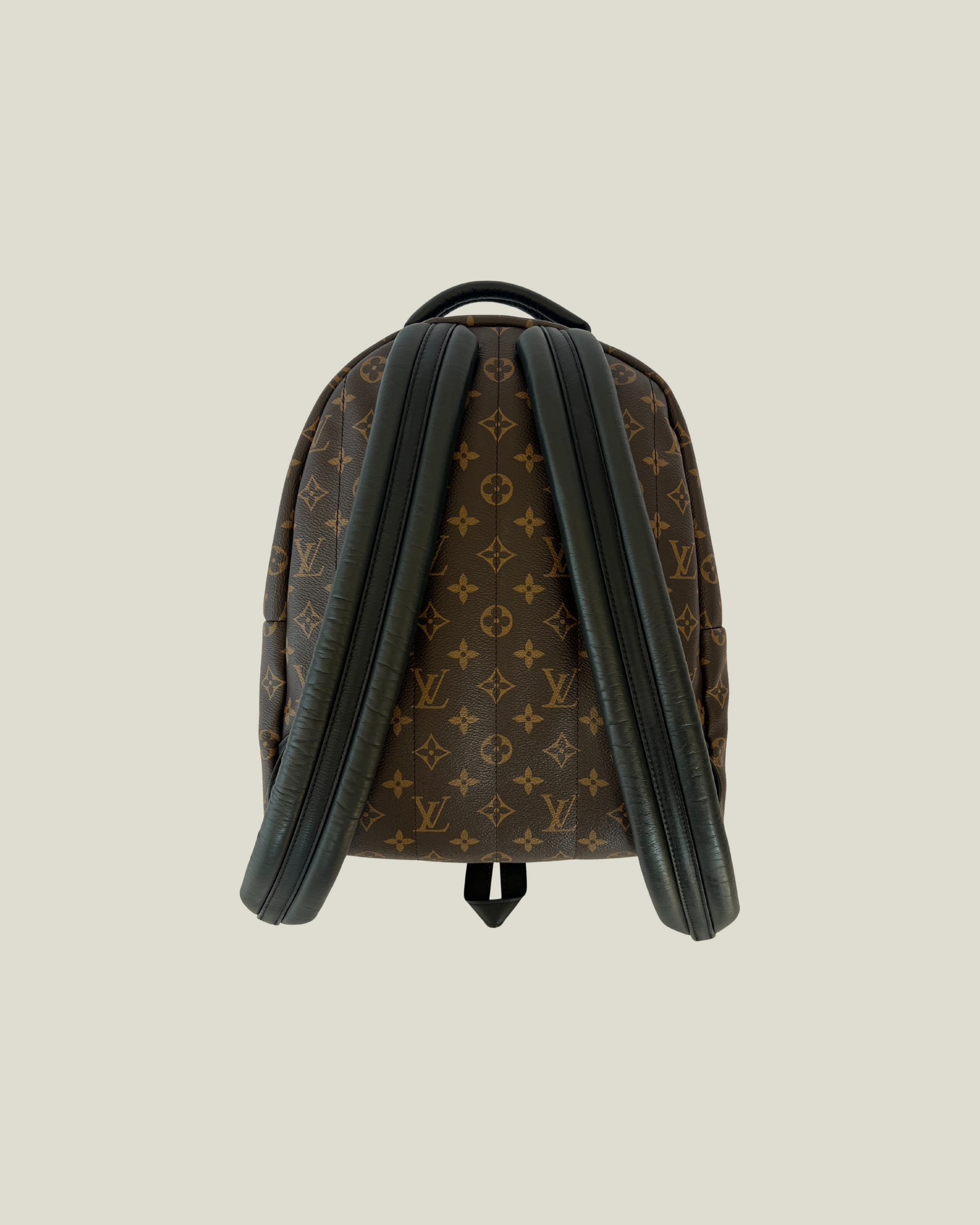 Louis Vuitton Palm Springs MM