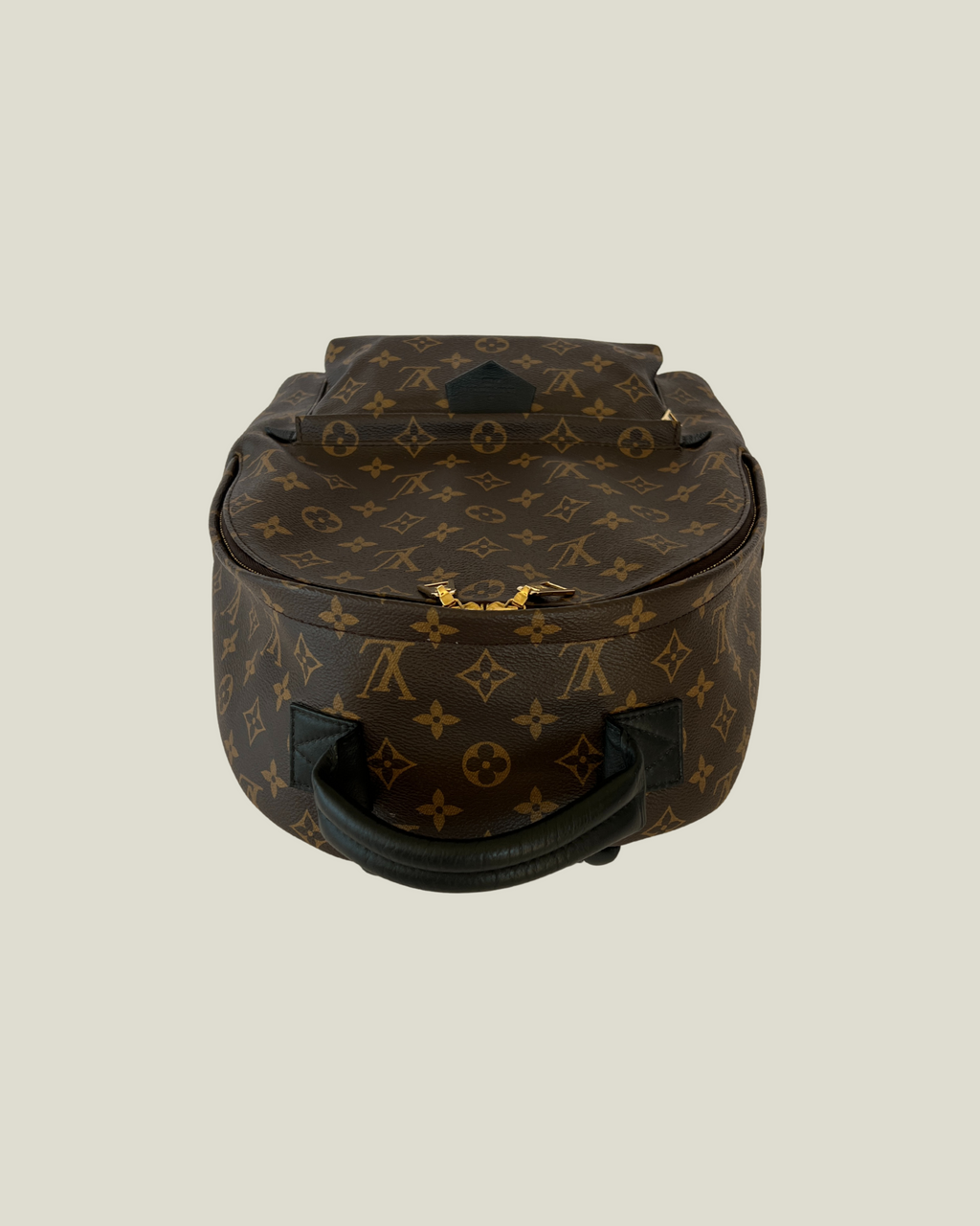 Louis Vuitton Palm Springs MM