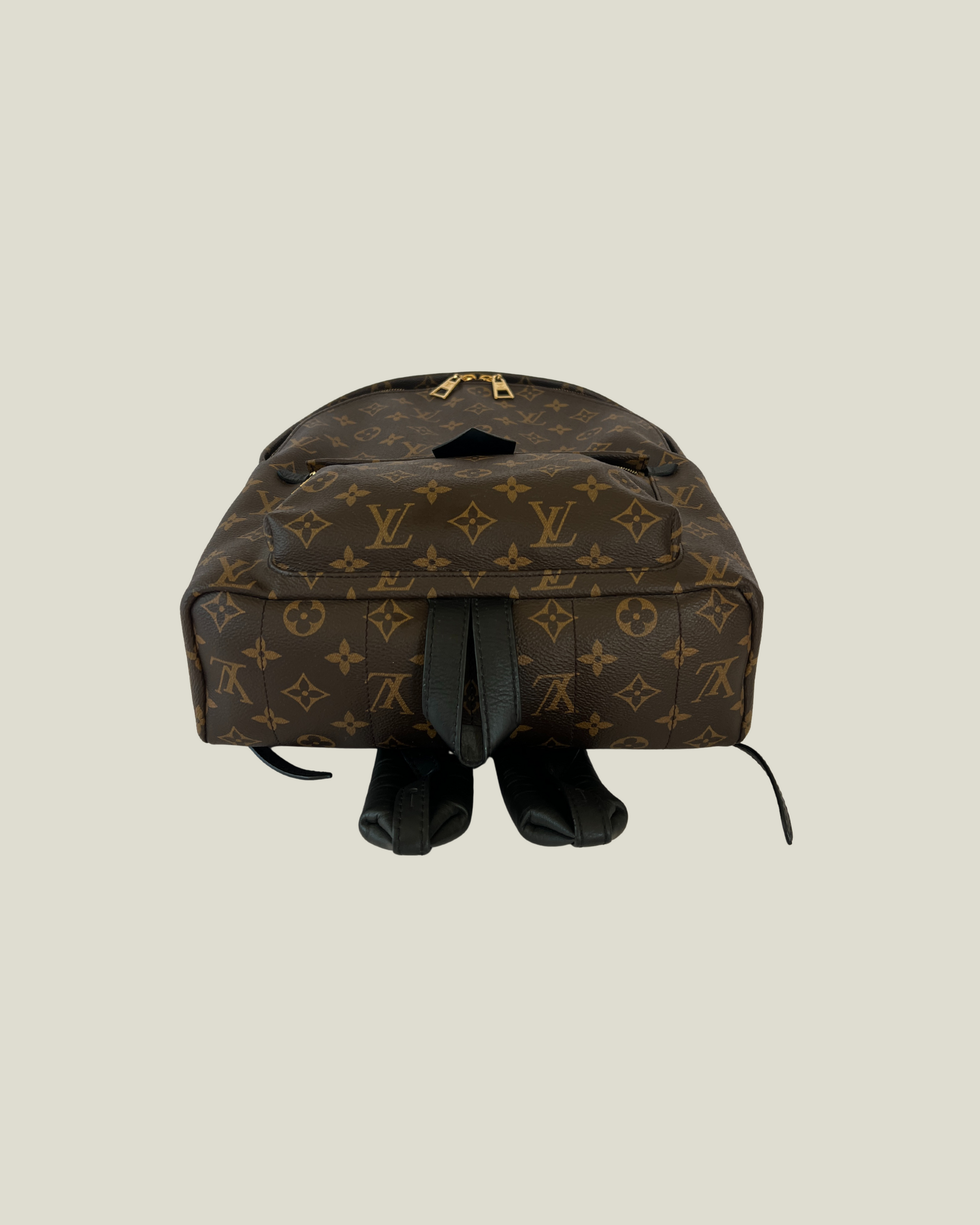 Louis Vuitton Palm Springs MM