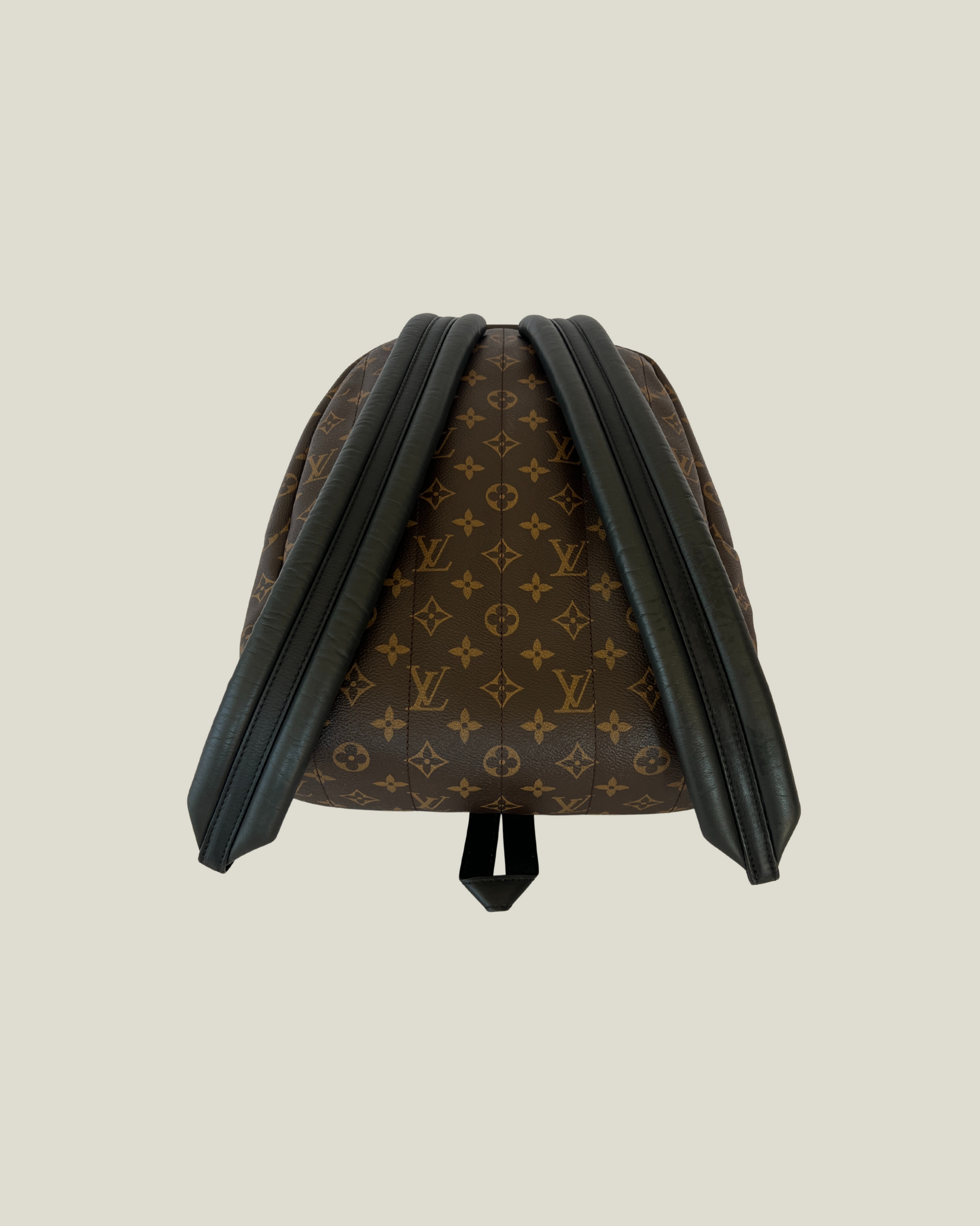 Louis Vuitton Palm Springs MM