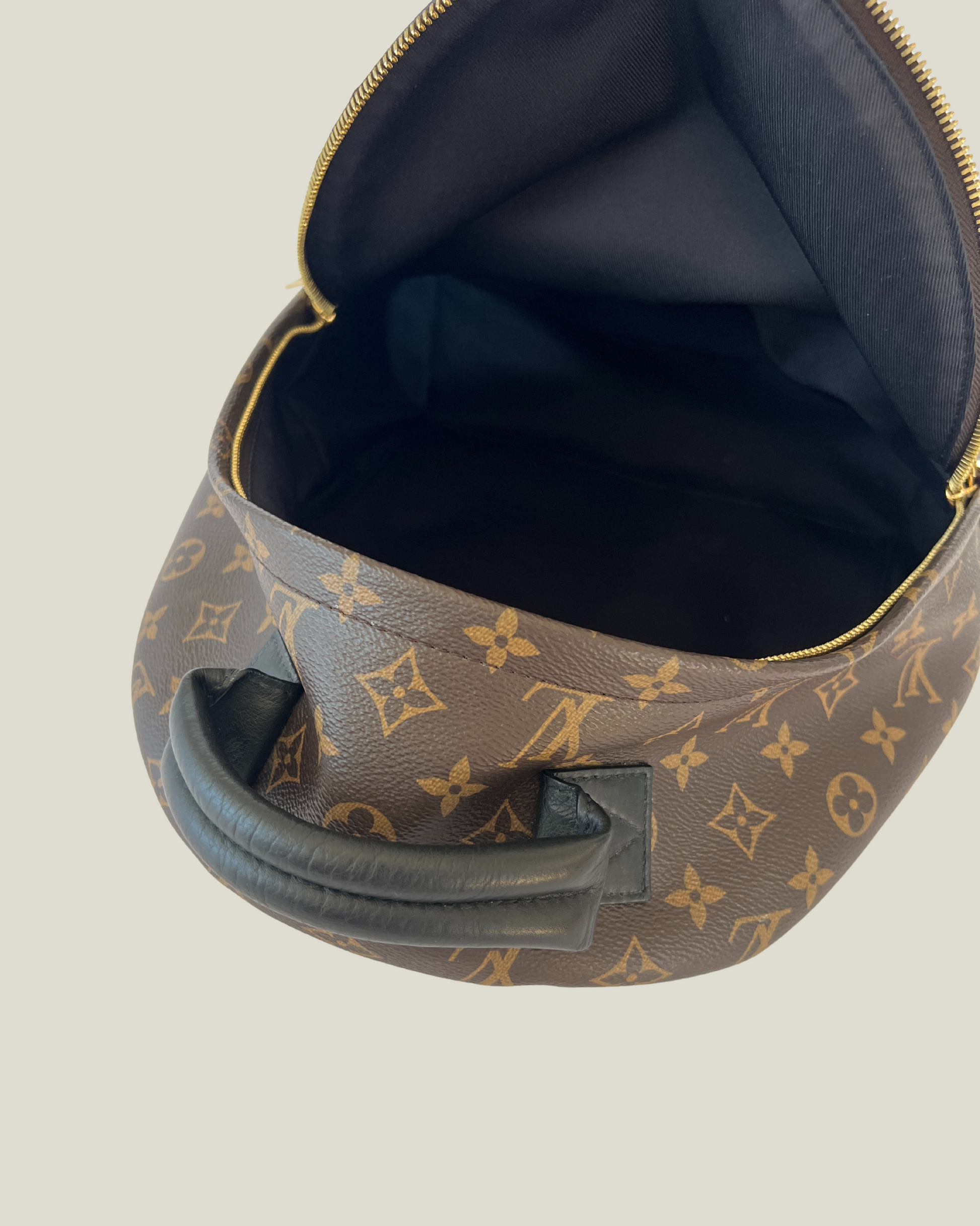 Louis Vuitton Palm Springs MM