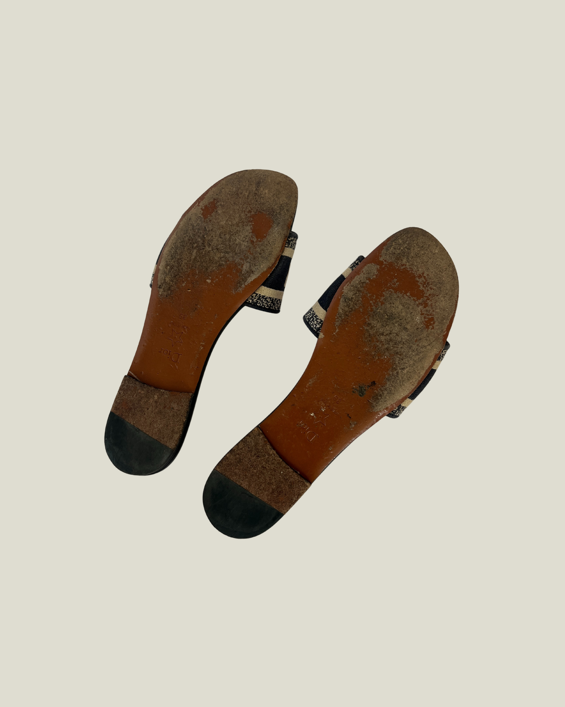 Dior Dway Slides