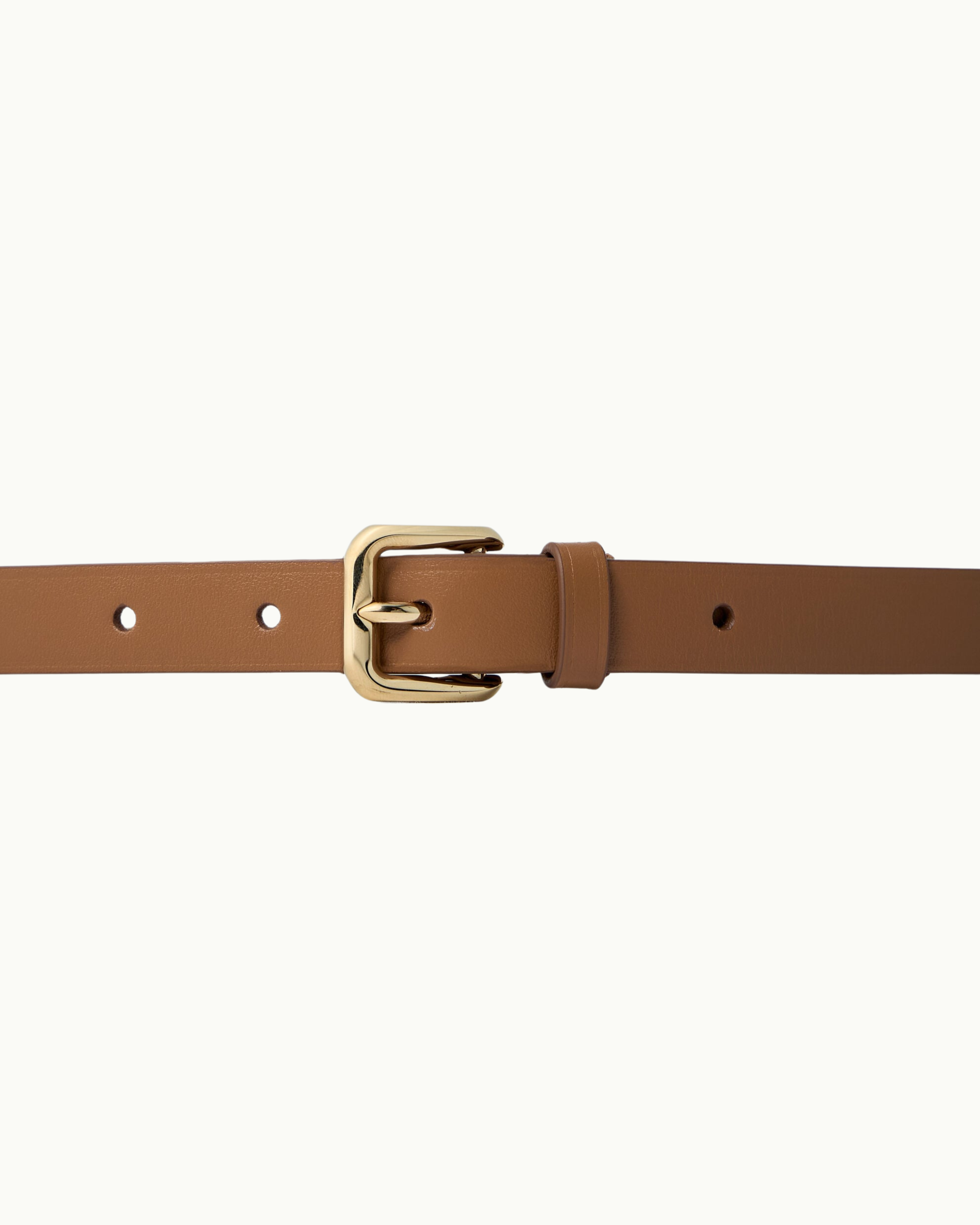 Leather and Metal Belt
