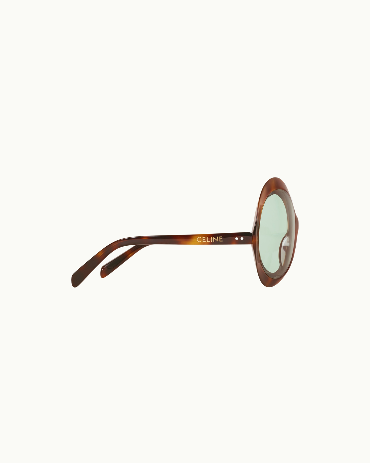 Disc Sunglasses